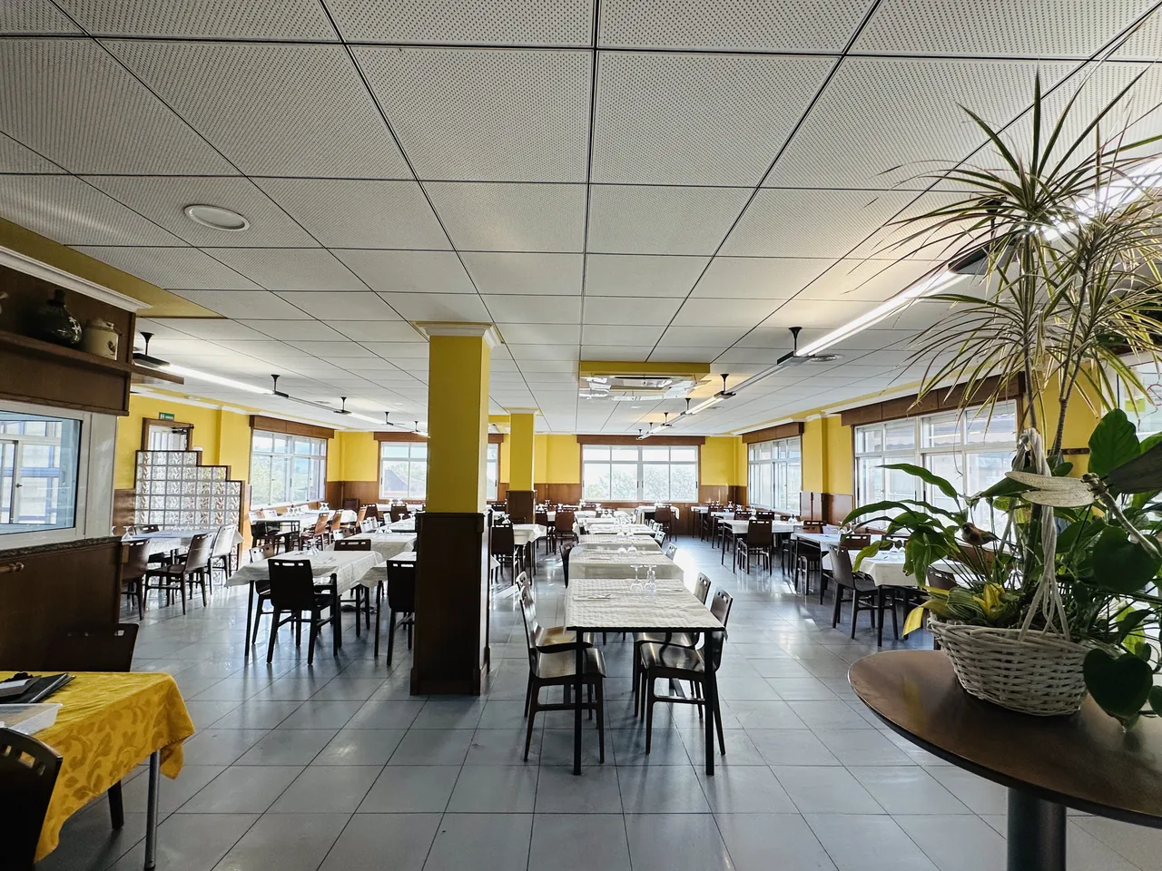 El comedor de El Bosque, con sus mesas preparadas y luz natural