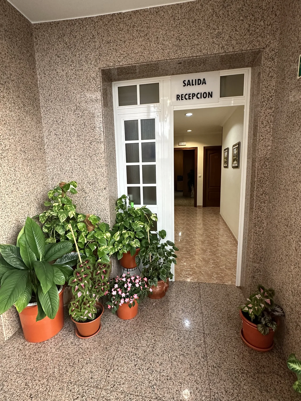 Acceso a las habitaciones de El Bosque con plantas junto a la puerta