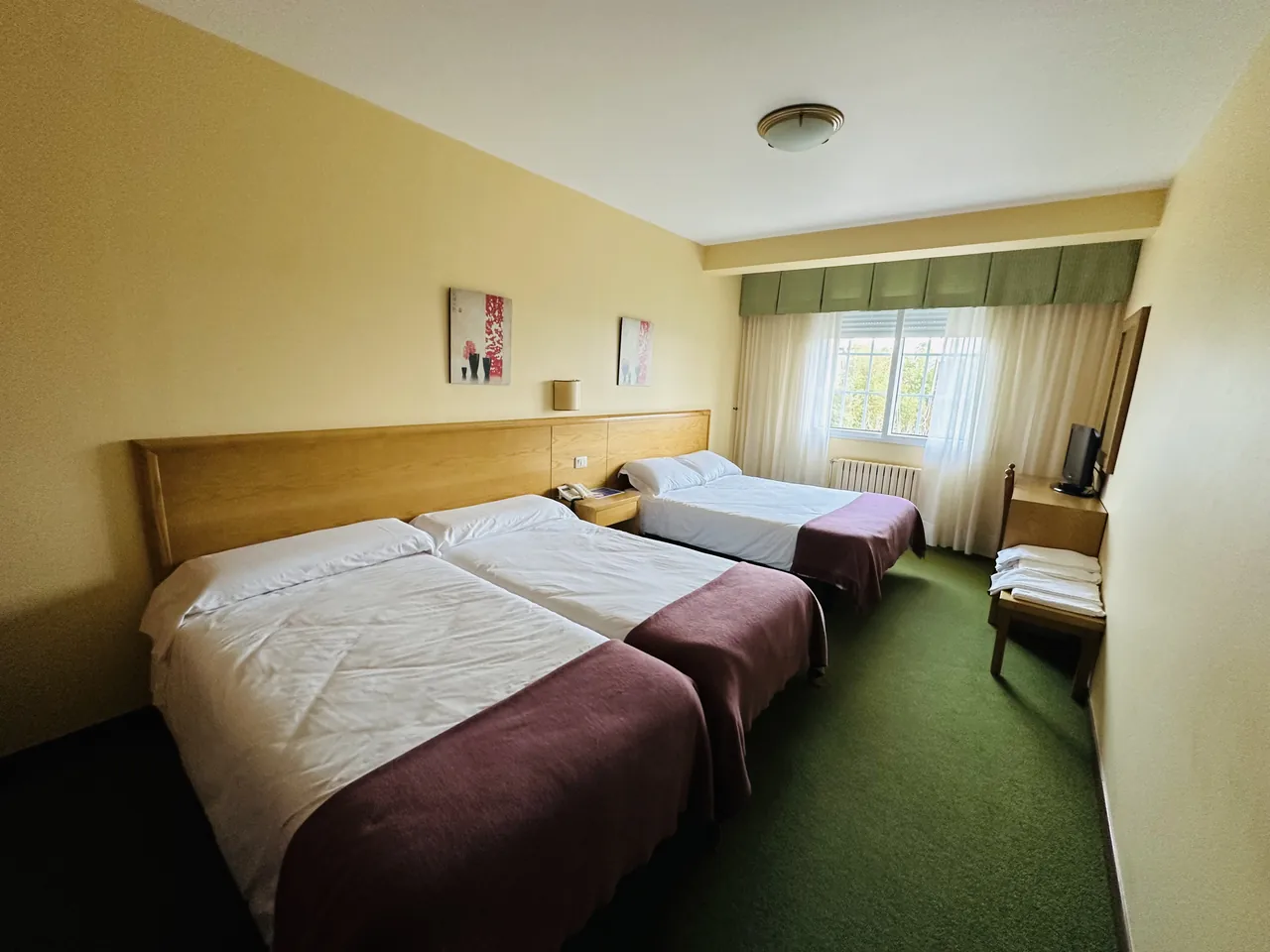 Habitación del Hotel El Bosque con dos camas, ventana y televisión