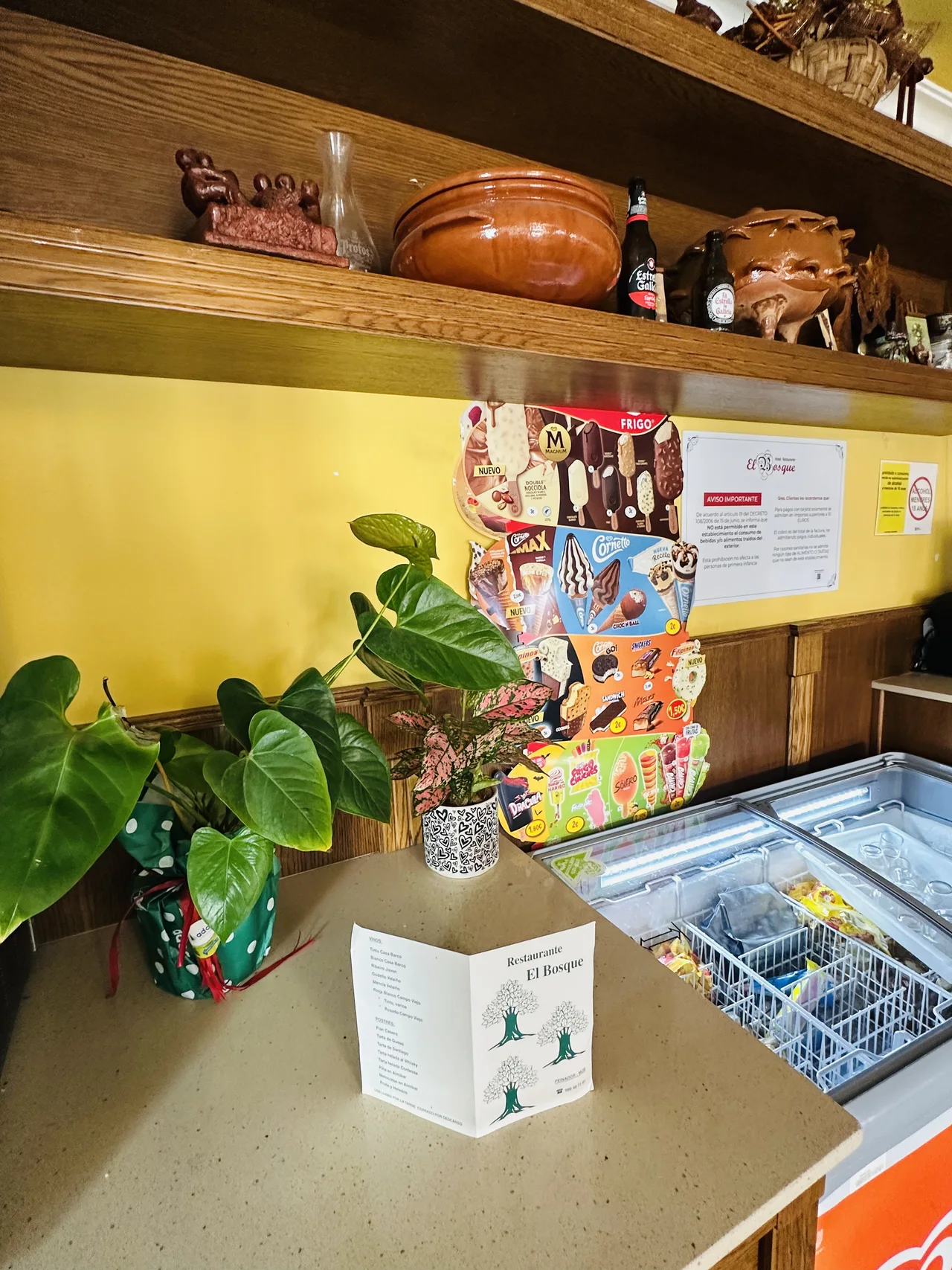 Mostrador, plantas y estantes del bar de El Bosque