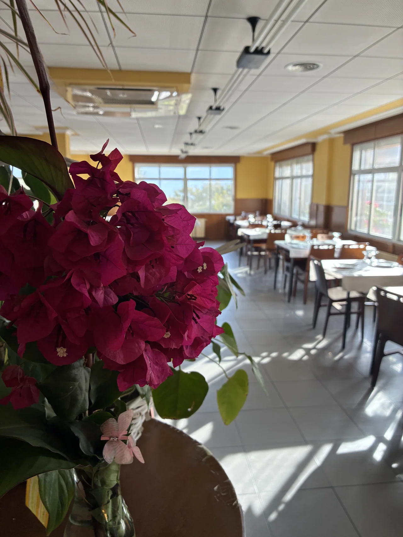 Flores junto a las mesas y ventanas del comedor de El Bosque