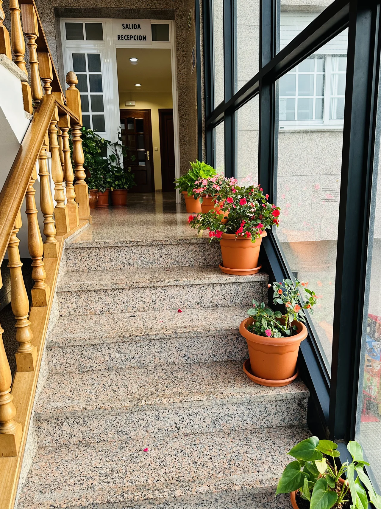 Escaleras de acceso a las habitaciones de El Bosque con plantas junto a la puerta